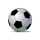Copa LFPB